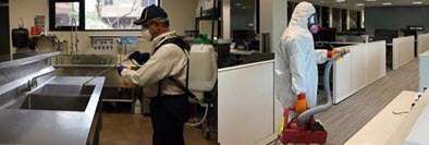 Proxitabe Peracetic Acid